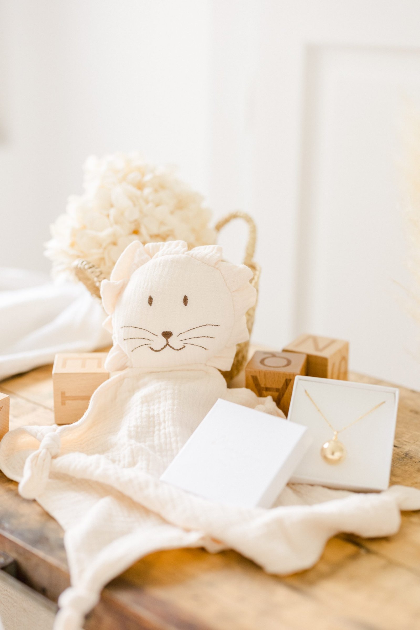 Box grossesse - bola de grossesse EQUILIBRE + Doudou bola brodé