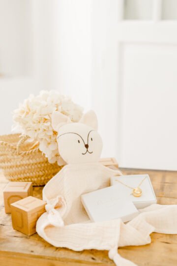 Box grossesse - bola de grossesse AUBE + Doudou bola brodé