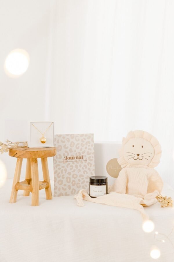 Coffret femme enceinte - doudou + journal + bola + soin vergetures
