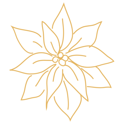 DECEMBRE - Poinsettia