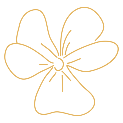 FEVRIER - Violette