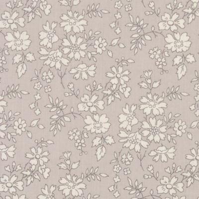 Gris souris