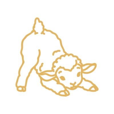 agneau