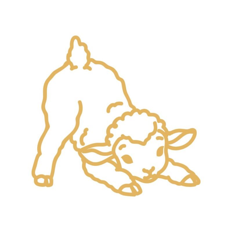 agneau