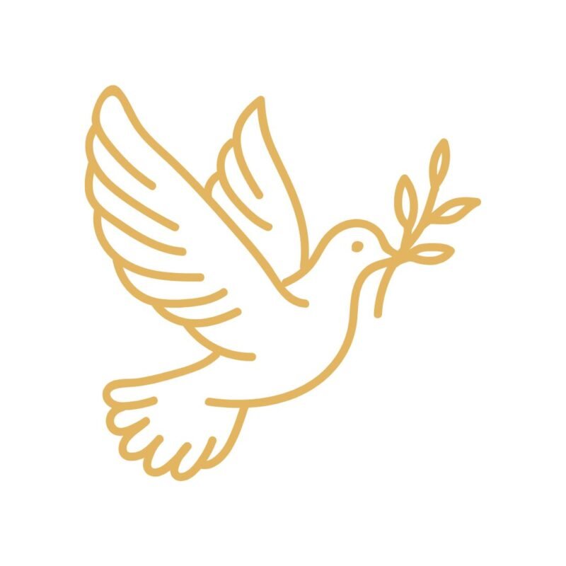 colombe