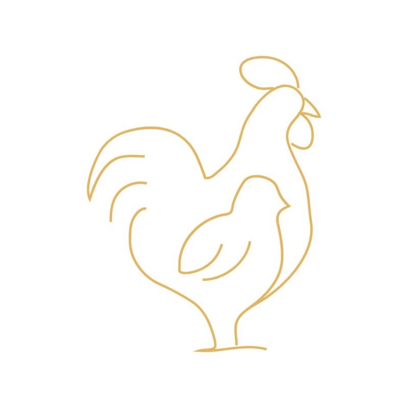 papa poule